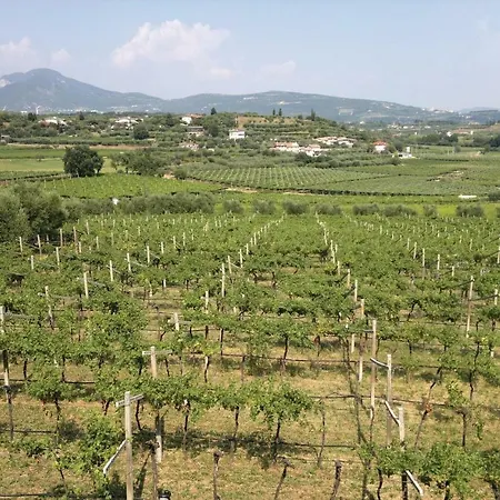 Apartament Il Torcolo *